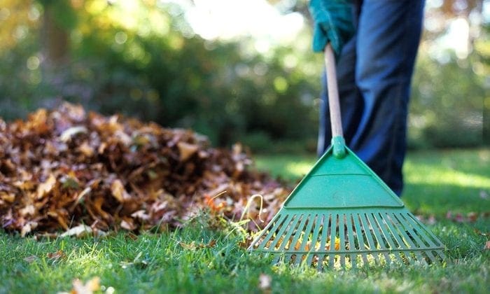 yard clean up 2